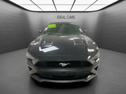 Photos of 2019 Ford Mustang EcoBoost for sale in Mesa, AZ at Ideal Cars Service Center