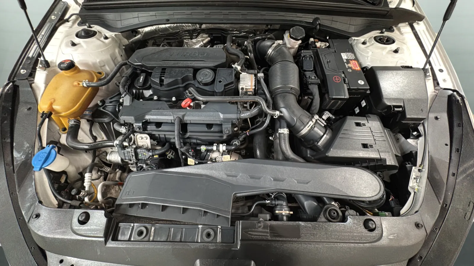 Kia K5 photo 22