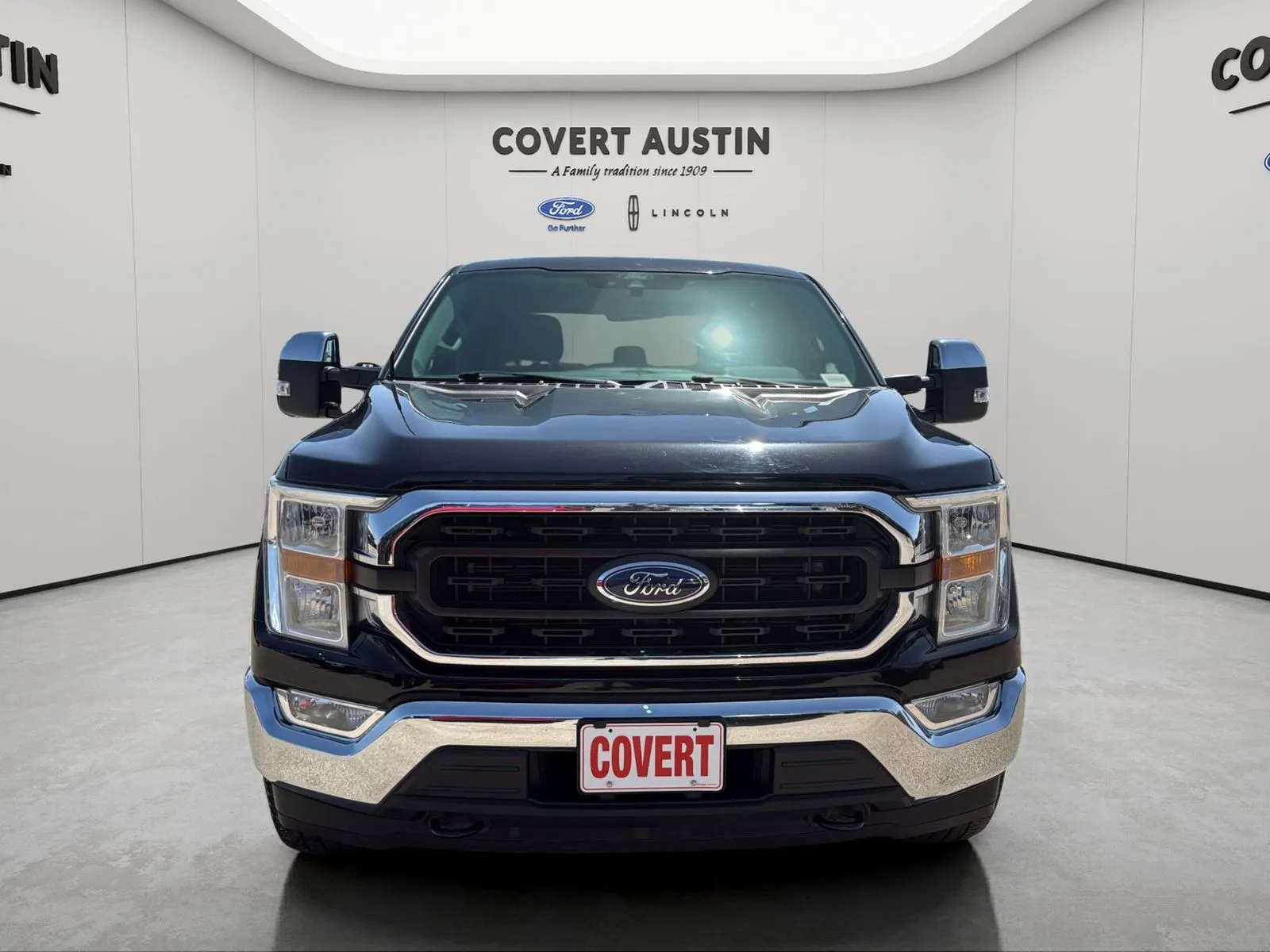 Ford F-150 photo 8