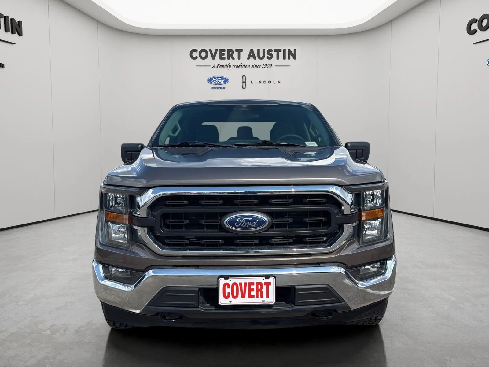 Ford F-150 photo 8