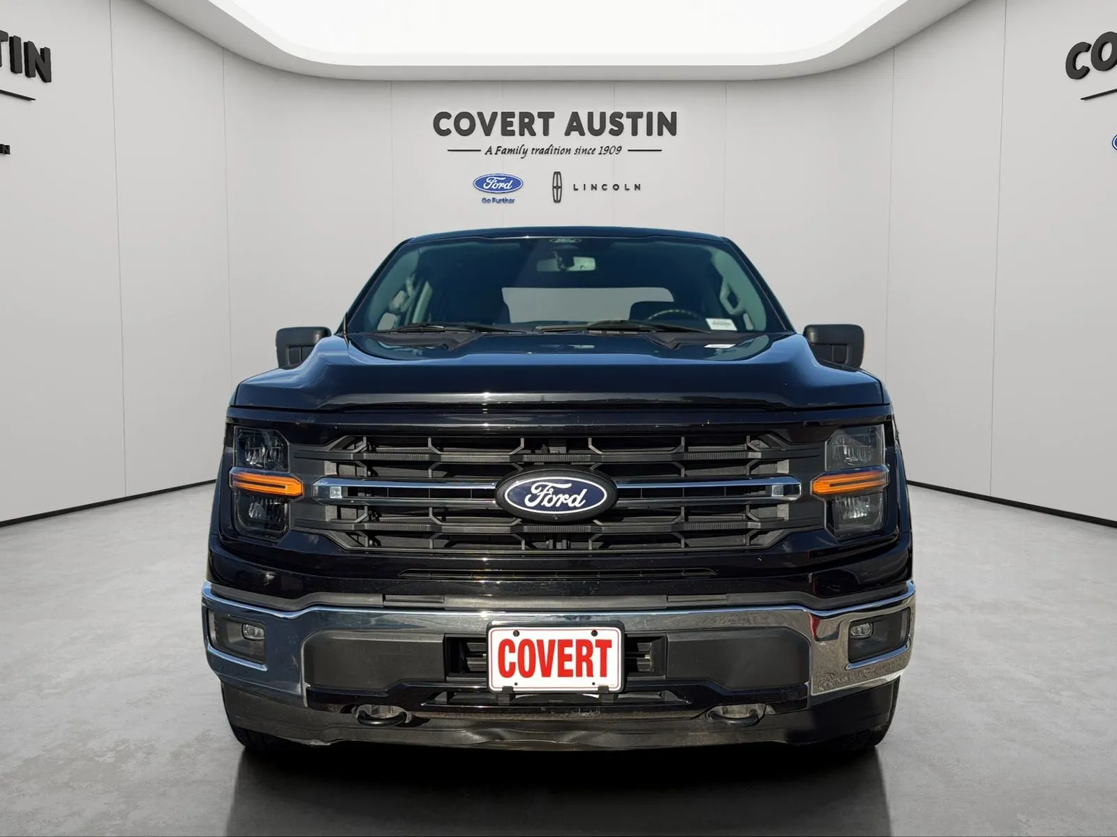 Ford F-150 photo 8