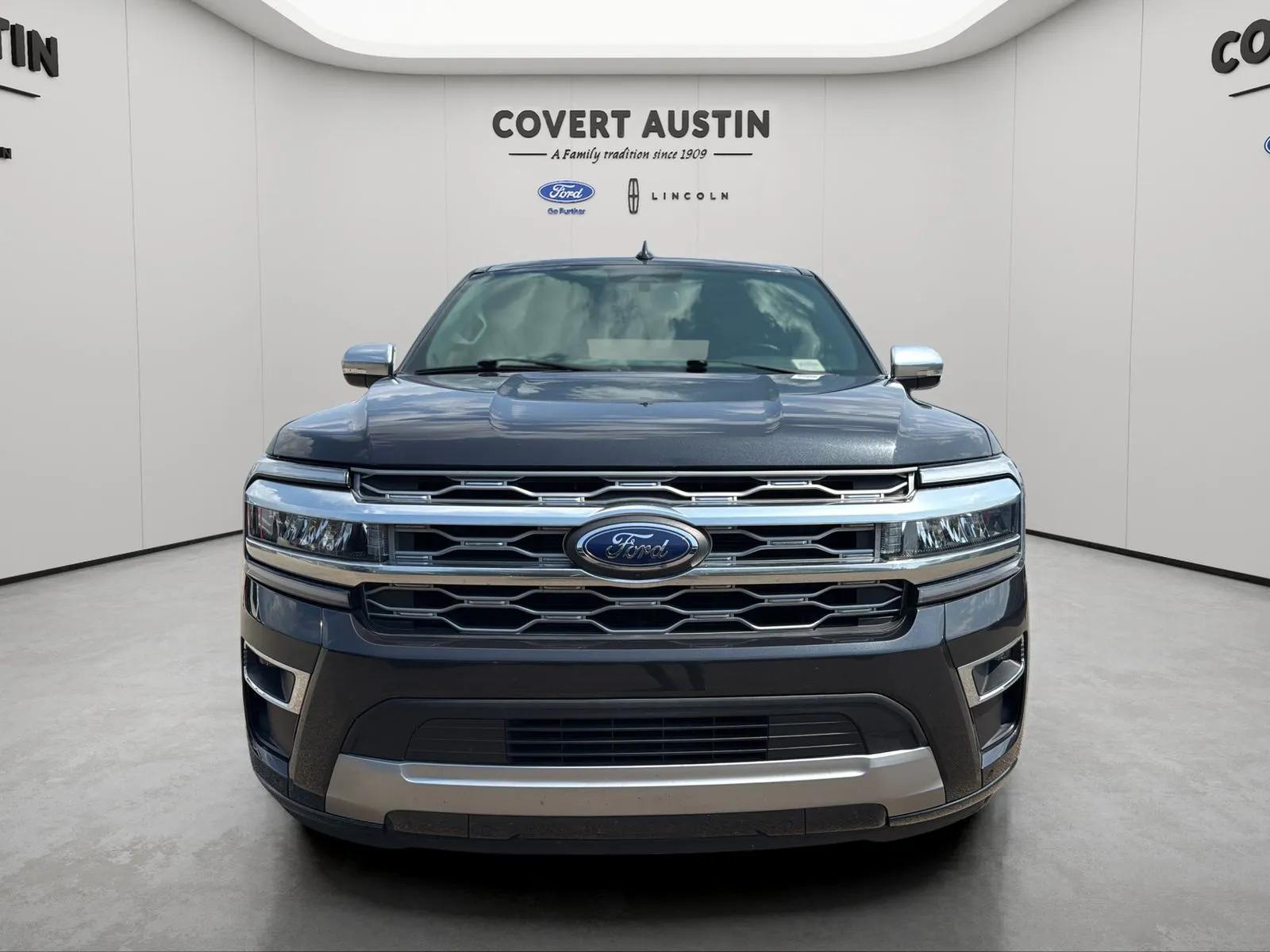 Ford Expedition photo 8