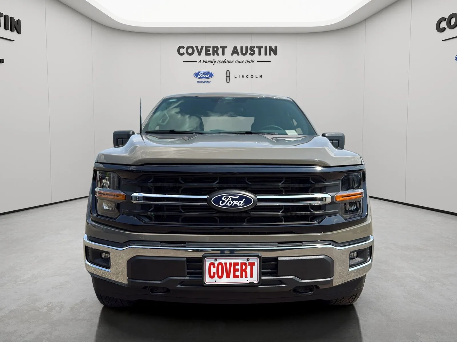 Ford F-150 photo 8