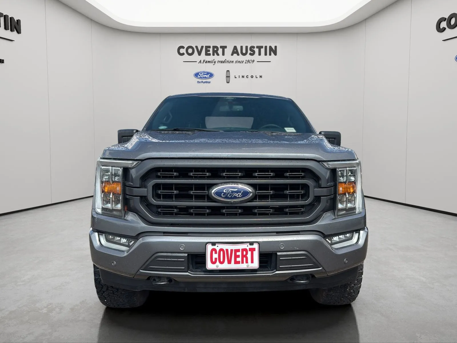 Ford F-150 photo 8