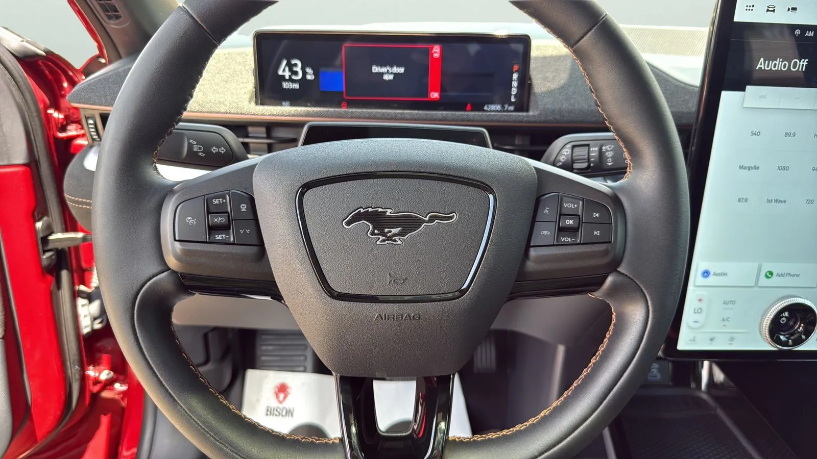 Ford Mustang Mach-E photo 14