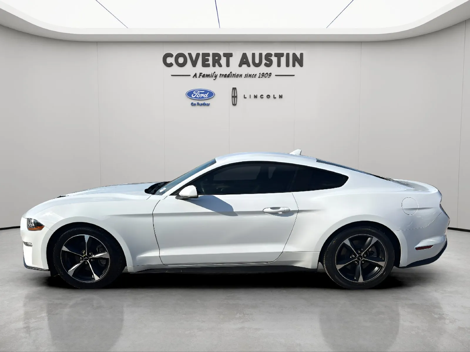 Ford Mustang photo 2