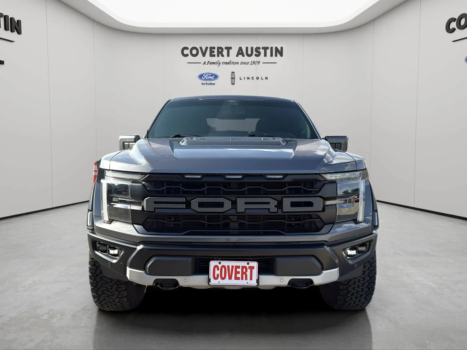 Ford F-150 photo 8