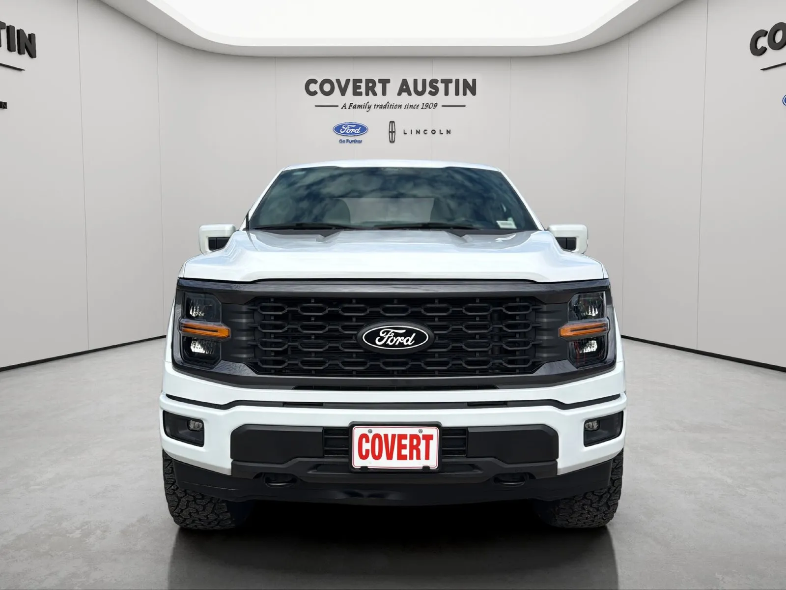Ford F-150 photo 8