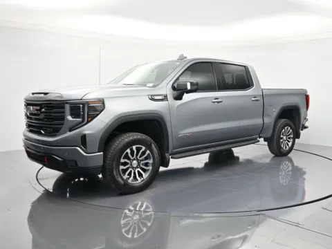 Gray 2023 GMC Sierra 1500 AT4 for sale in Palatka, FL