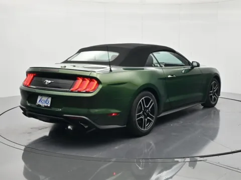 More photos of 2023 Ford Mustang EcoBoost Premium at Beck Chevrolet GMC, FL