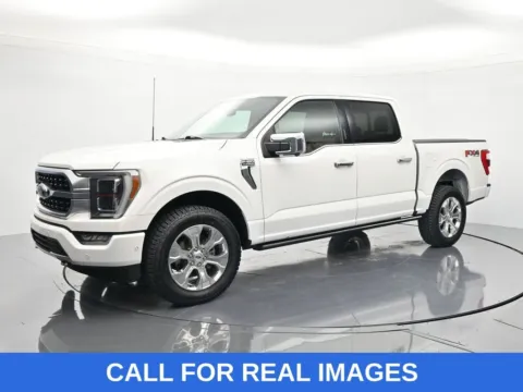 White 2022 Ford F-150 Platinum for sale in Palatka, FL