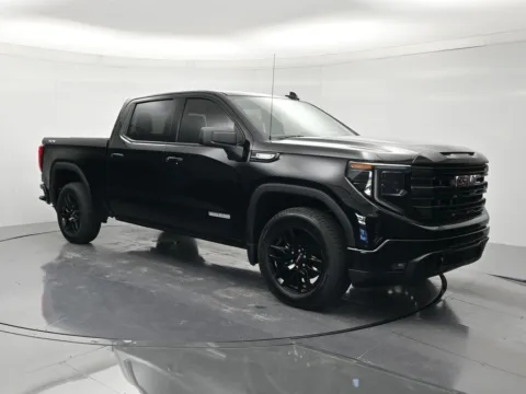 Another view of 2025 GMC Sierra 1500 Elevation for sale in Palatka, FL at Beck Ford Lincoln