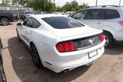 More photos of 2015 Ford Mustang V6 Coupe 2D at Winter Park Auto Exchange, FL