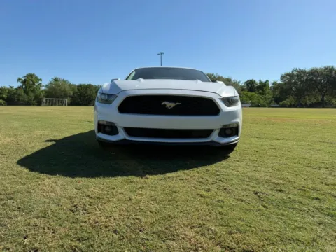 Photos of 2015 Ford Mustang V6 Coupe 2D for sale in Orlando, FL at Winter Park Auto Exchange