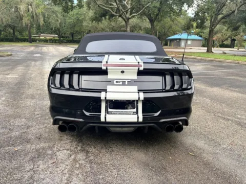 More photos of 2020 Ford Mustang GT Premium Convertible 2D at Winter Park Auto Exchange, FL