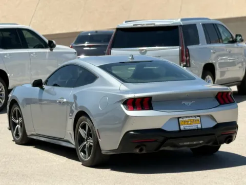 More photos of 2024 FORD MUSTANG EcoBoost Coupe at Macova Auto Group Inc., TX