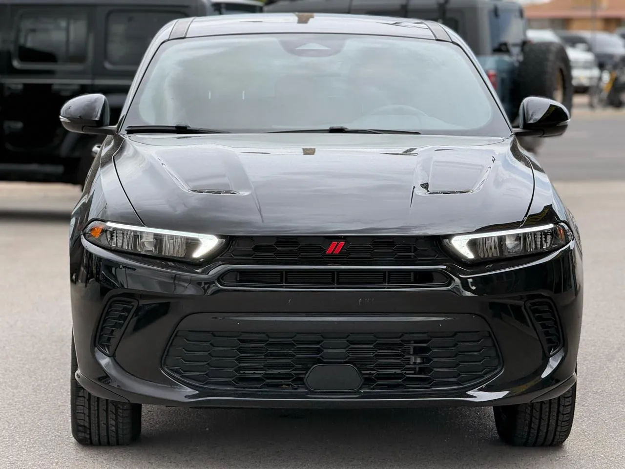 Dodge Hornet photo 3