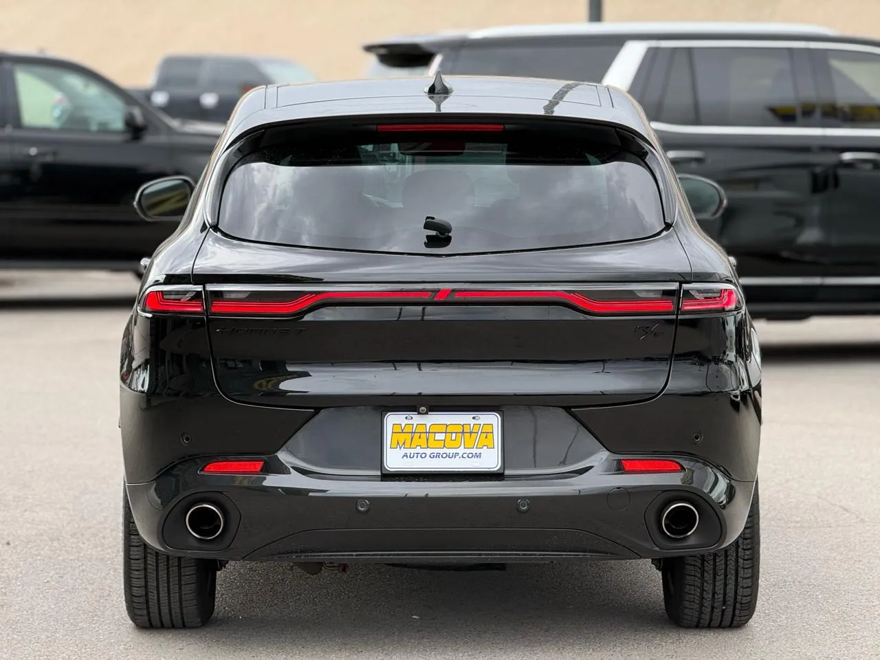 Dodge Hornet photo 6