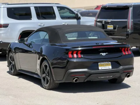 More photos of 2024 Ford Mustang EcoBoost Premium at Macova Auto Group Inc., TX