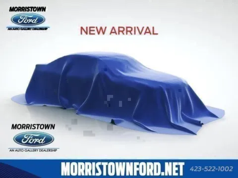 Gray 2026 Ford Expedition Active for sale in Morristown, TN