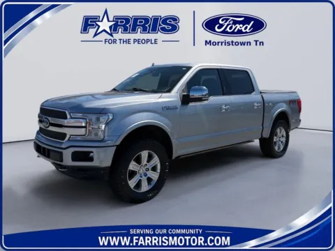 Silver 2020 Ford F-150 Platinum for sale in Morristown, TN