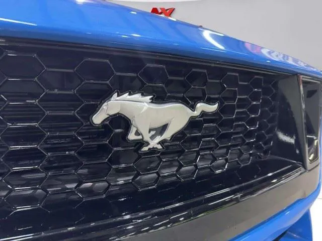 Ford Mustang photo 57