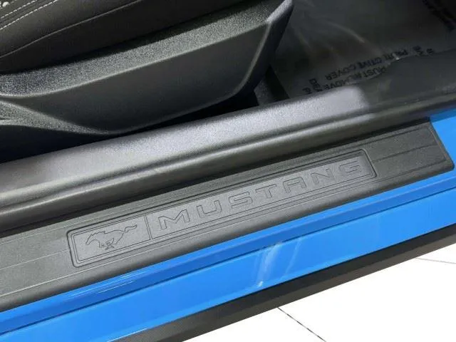 Ford Mustang photo 67