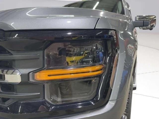 Ford F-150 photo 11