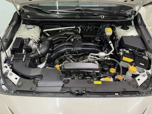 Subaru Crosstrek photo 48