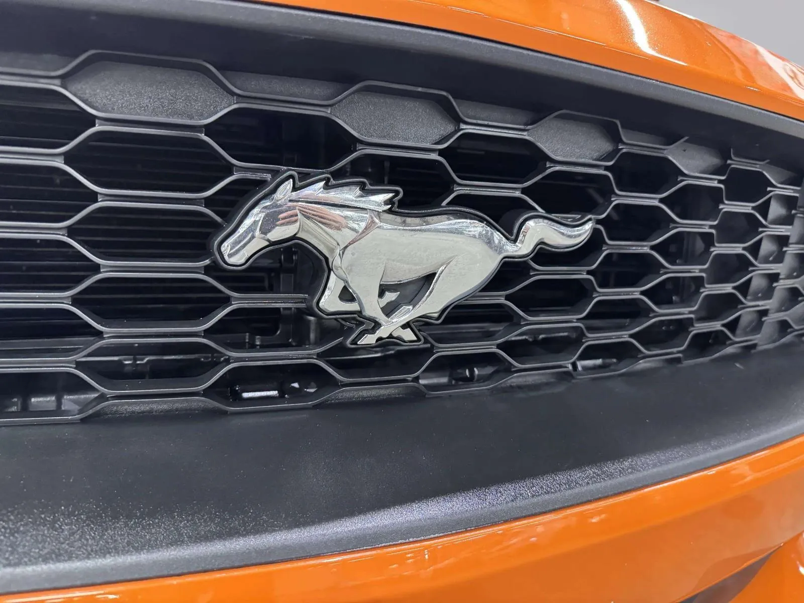 Ford Mustang photo 17