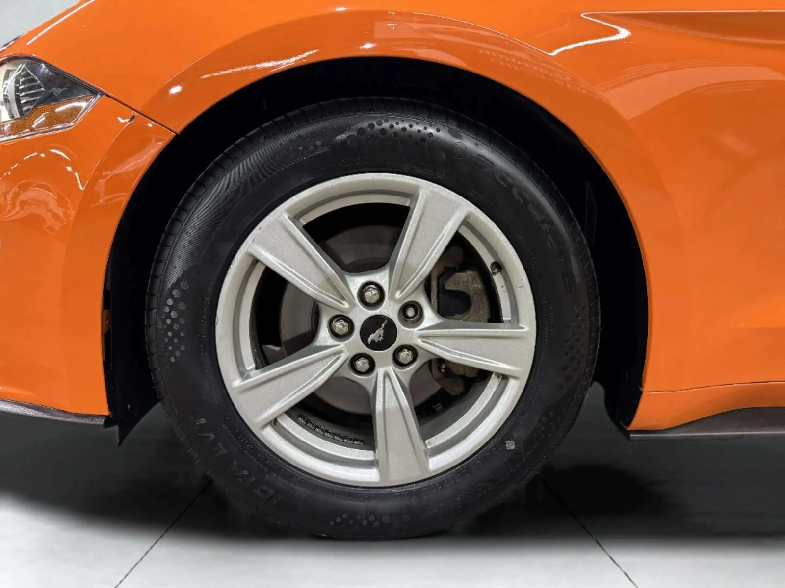 Ford Mustang photo 44