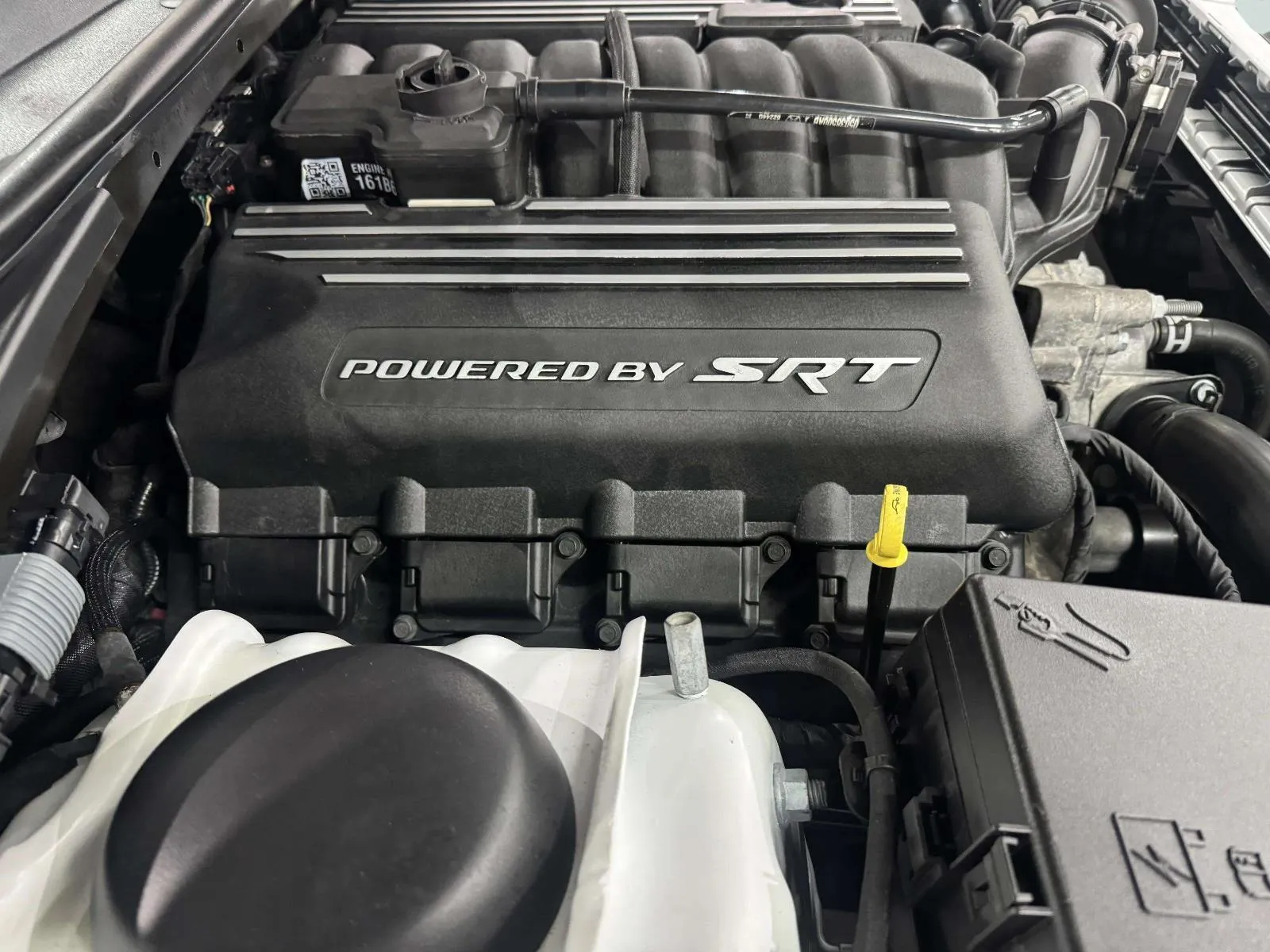 Dodge Challenger photo 51