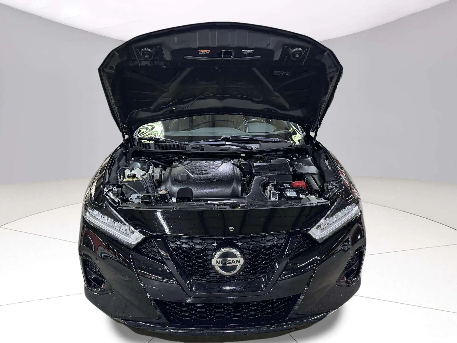 Nissan Maxima photo 60