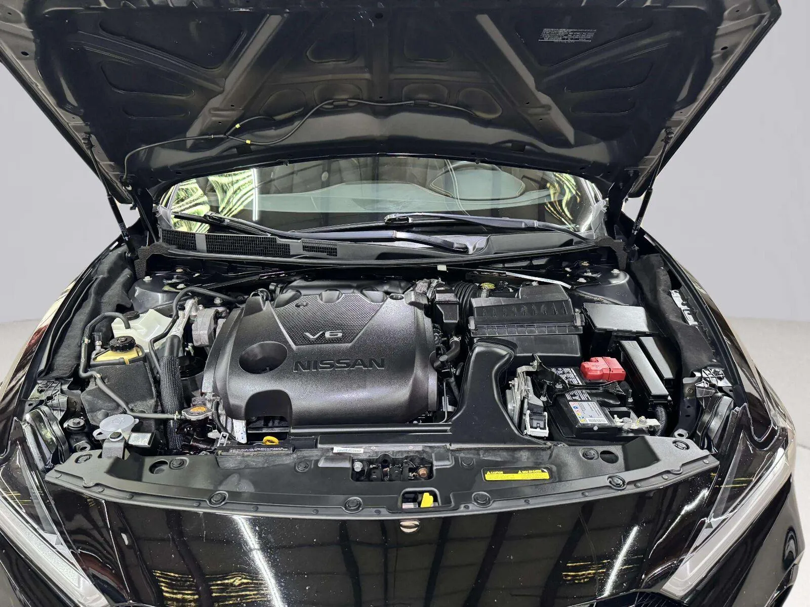 Nissan Maxima photo 61
