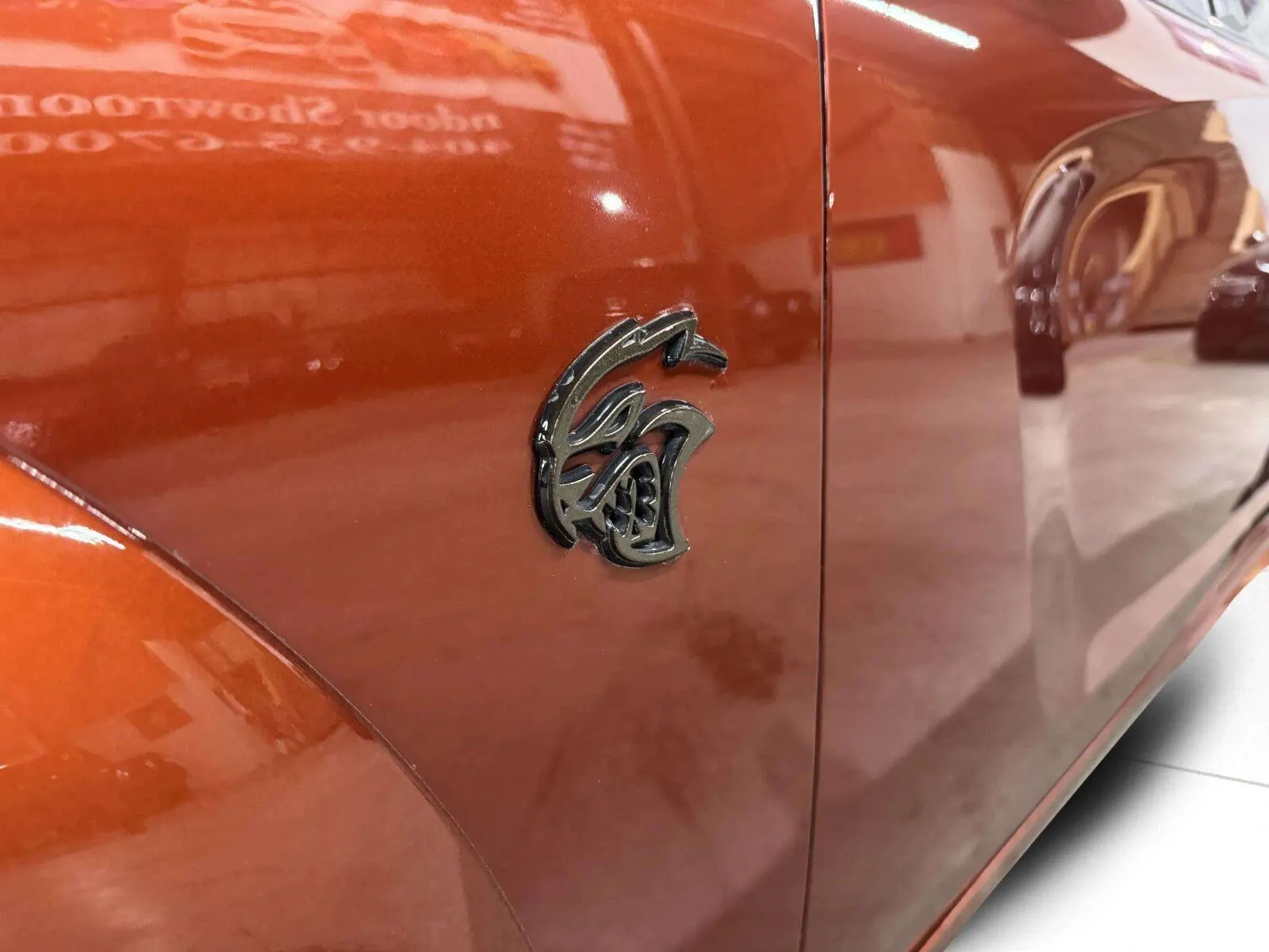 Dodge Charger photo 17