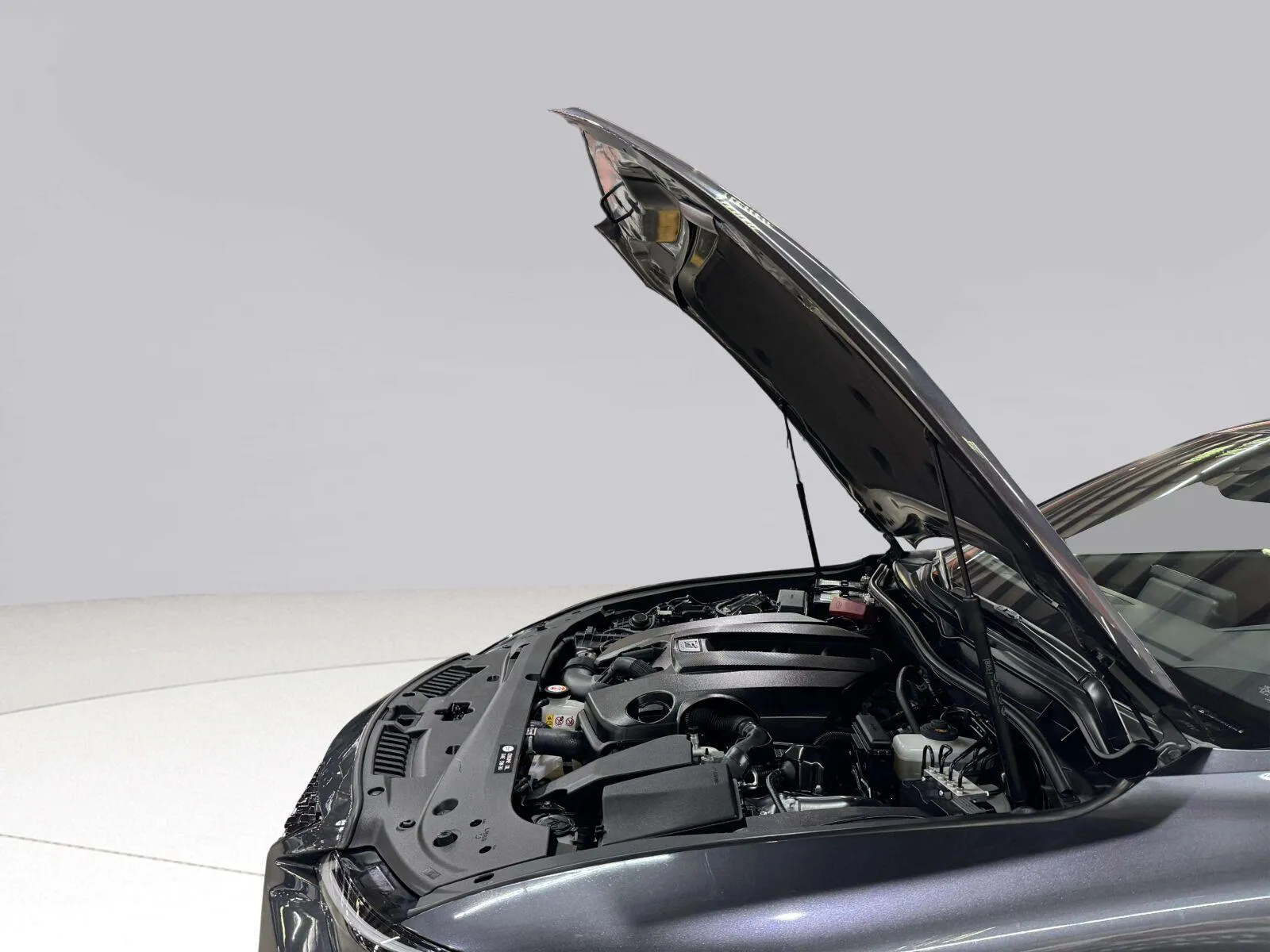 Lexus IS photo 63