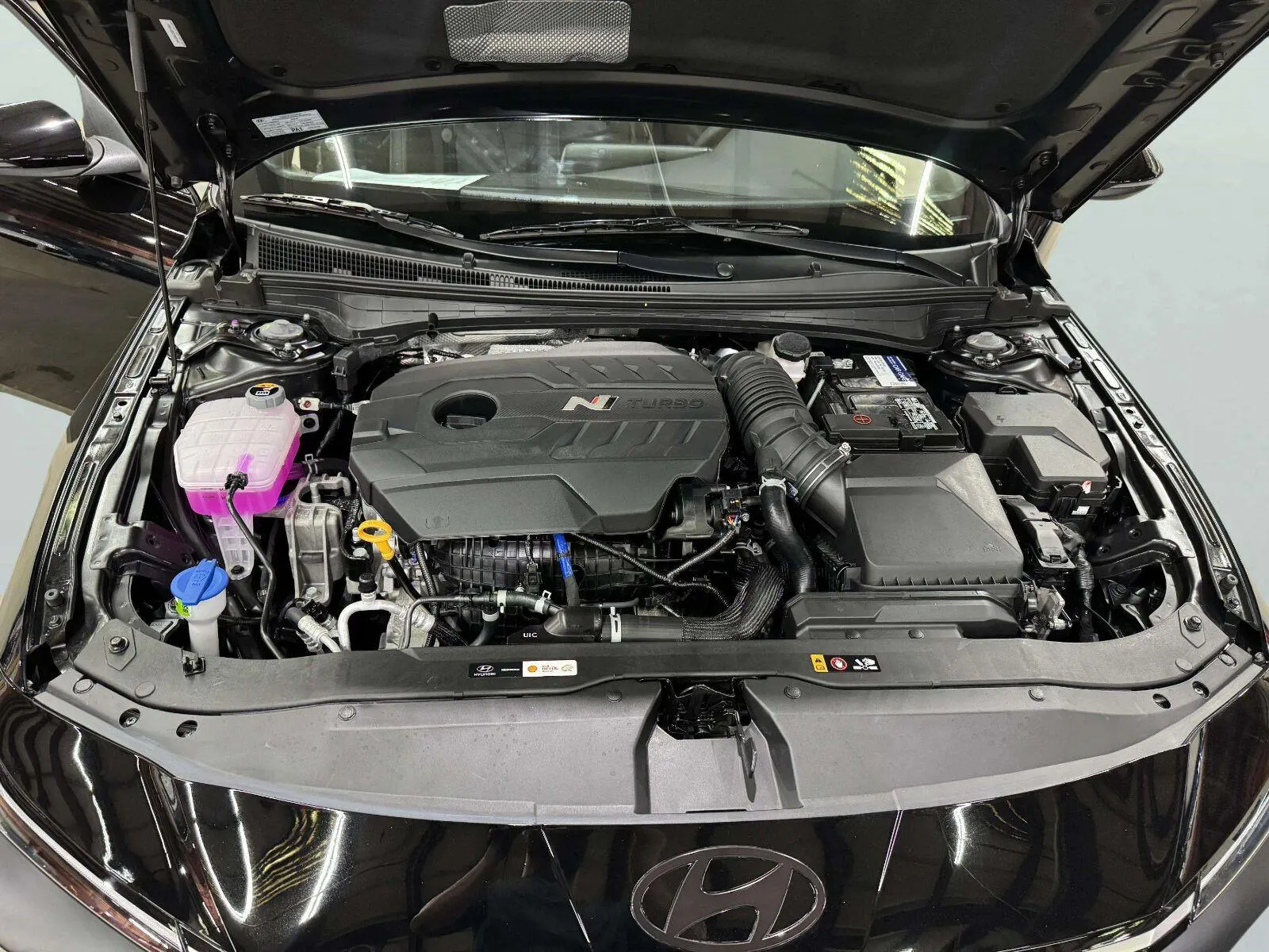 Hyundai Elantra N photo 41
