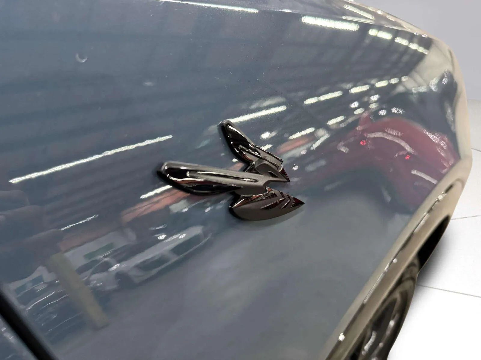 Dodge Hornet photo 20