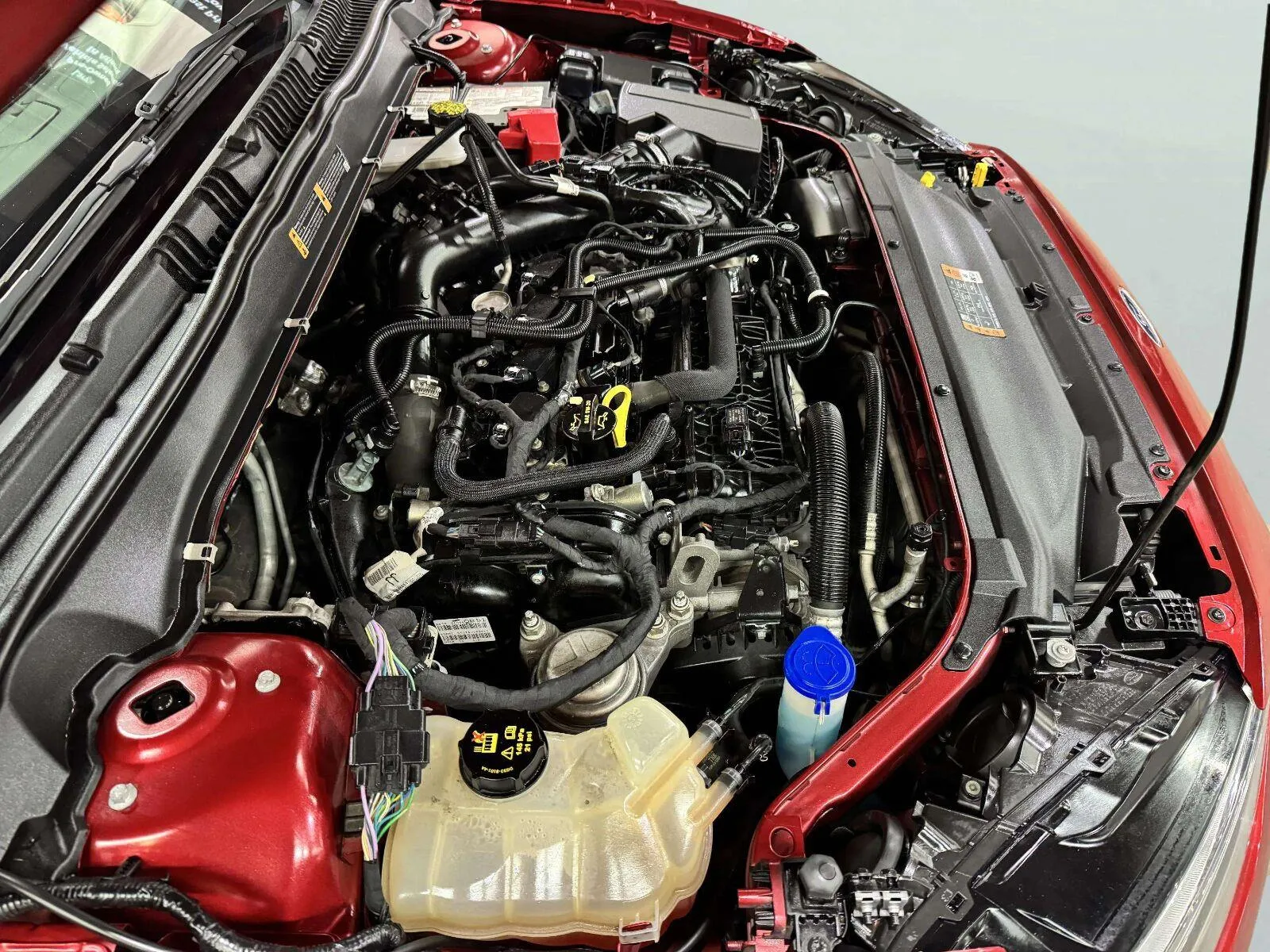 Ford Fusion photo 20