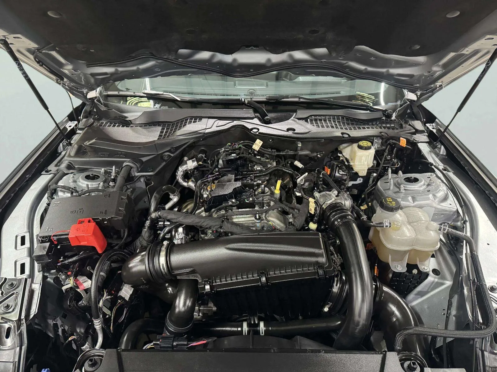 Ford Mustang photo 28