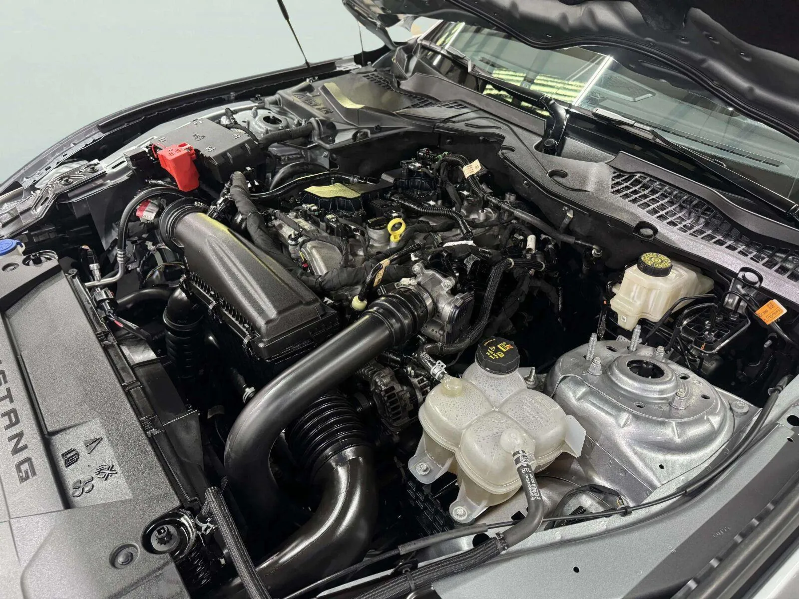 Ford Mustang photo 29