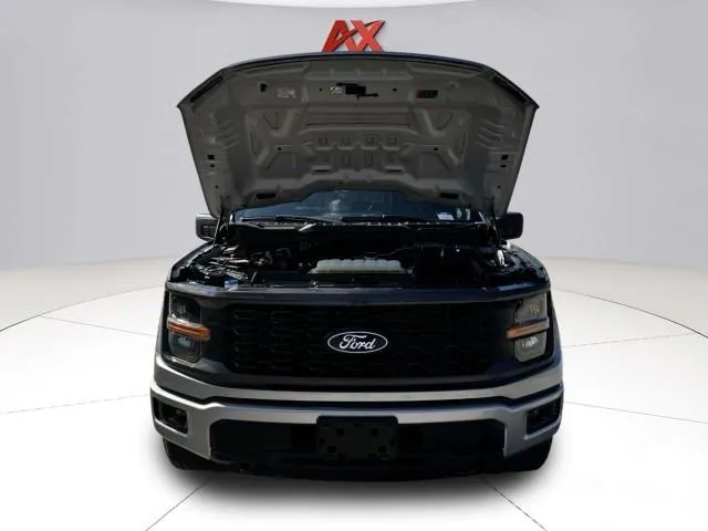 Ford F-150 photo 60