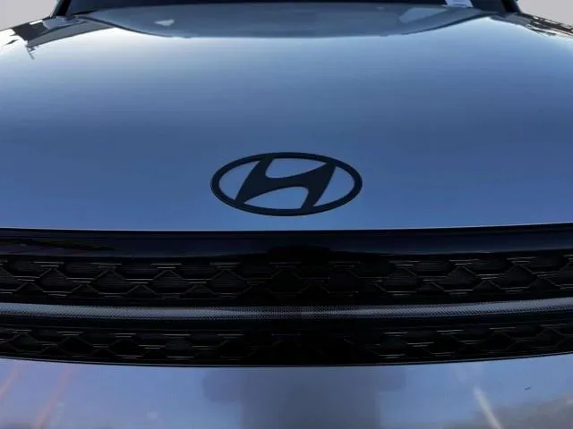 Hyundai Santa Fe photo 14