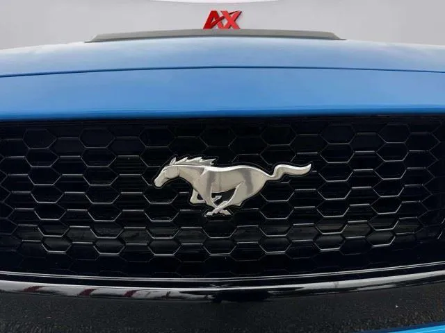 2025 Ford Mustang 16