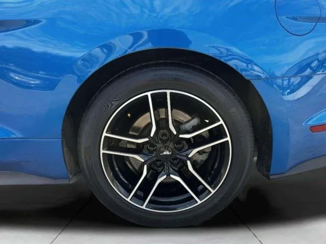 Ford Mustang photo 51
