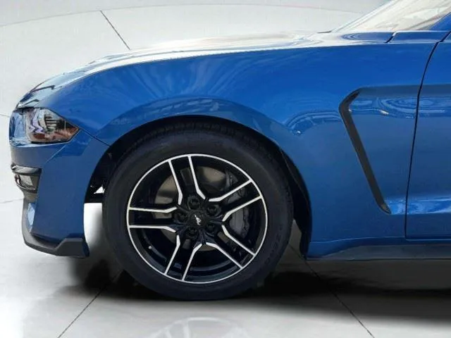 Ford Mustang photo 54
