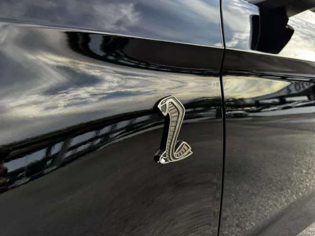 Ford Mustang photo 16
