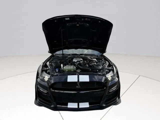 Ford Mustang photo 57