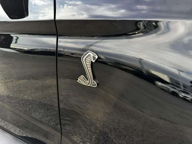 Ford Mustang photo 12