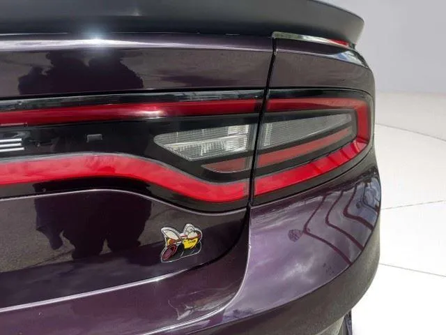 Dodge Charger photo 17